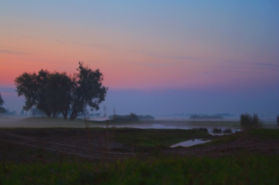 <i class='fa fa-user'></i> Rudi Debruyne | Landschap in Flevo-Nederland  <i class='fa fa-eye'> 223</i>   <i class='fa fa-comment-o'> 2</i>