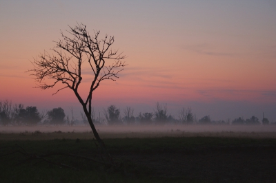 <i class='fa fa-user'></i> Rudi Debruyne | Landschap in Flevo-Nederland  <i class='fa fa-eye'> 254</i>   <i class='fa fa-comment-o'> 2</i>
