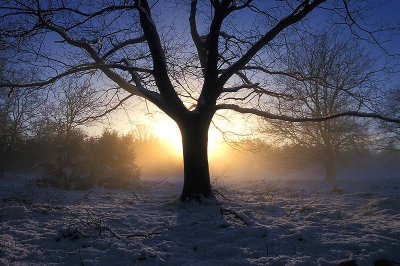 <i class='fa fa-user'></i> Maas | Winterse sfeer  <i class='fa fa-eye'> 408</i>  <i class='fa fa-thumbs-up'> 7</i>   <i class='fa fa-comment-o'> 22</i>