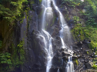 <i class='fa fa-user'></i> brain | Waterval  <i class='fa fa-eye'> 226</i>   <i class='fa fa-comment-o'> 2</i>