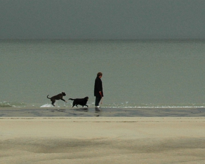 De komst van de eerste sneeuwbui aan het strand van Renesse-Zeeland