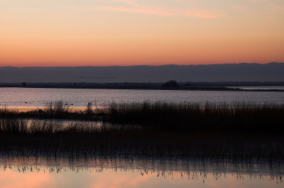 <i class='fa fa-user'></i> Tim Oord | Waterlandschap  <i class='fa fa-eye'> 195</i>   <i class='fa fa-comment-o'> 2</i>