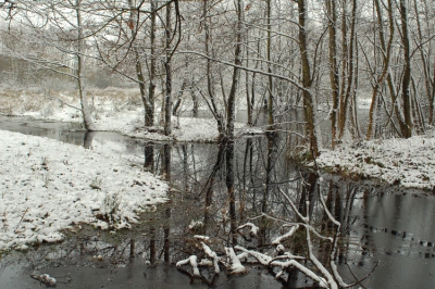 <i class='fa fa-user'></i> egon | Landschap met iswater en sneeuw  <i class='fa fa-eye'> 220</i>   <i class='fa fa-comment-o'> 2</i>