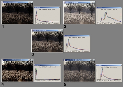 Hoe lees je een histogram