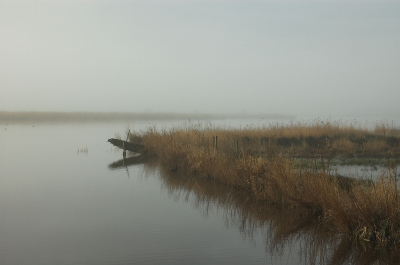 <i class='fa fa-user'></i> Tim Oord | Landschap in de mist  <i class='fa fa-eye'> 132</i>  <i class='fa fa-thumbs-up'> 1</i>   <i class='fa fa-comment-o'> 3</i>