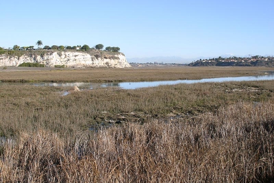 <i class='fa fa-user'></i> Peter Vercruijsse | Upper Newport Bay  <i class='fa fa-eye'> 353</i>   <i class='fa fa-comment-o'> 0</i>