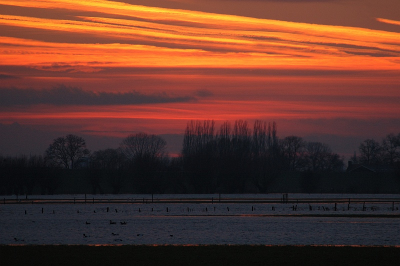 <i class='fa fa-user'></i> Bendiks Westerink | Zonsondergang in de uiterwaarden  <i class='fa fa-eye'> 136</i>   <i class='fa fa-comment-o'> 3</i>