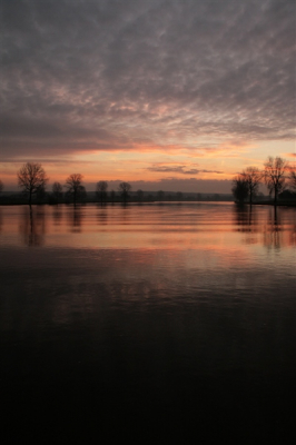 <i class='fa fa-user'></i> Adri Clements | Zonsopkomst boven de Maas  <i class='fa fa-eye'> 190</i>   <i class='fa fa-comment-o'> 5</i>