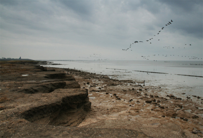 <i class='fa fa-user'></i> ferrystreng | Waddenzee  <i class='fa fa-eye'> 245</i>   <i class='fa fa-comment-o'> 8</i>