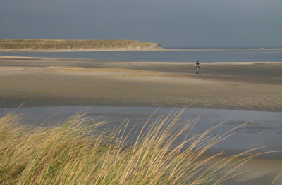 Ik weet niet of je op nederpix een foto mag plaatsen, waarop een mens is te zien, maar toch probeer ik het. Zonder deze persoon was voor mij de foto niet af geweest. Het geeft heel mooi de eenzaamheid en rust weer in deze foto. Een half uur later liep het hier namelijk vol met mensen. De herhaling van de kleuren (het blauw en het geel) maken dit voor mij een mooie foto. Er onstaat een soort lijnenspel.