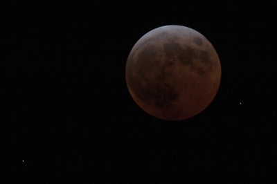 Vandaag weer eens een volledige maansverduistering te zien in ons land. Toch wel een mooi fenomeen. Het valt niet mee om dat te fotograferen zonder bewegingsonscherpte.

Nikon D2X; AF-S VR 200-400/4.0 met 1.4 TC; 2*crop stand; 1 sec; F 5.6; ISO 400