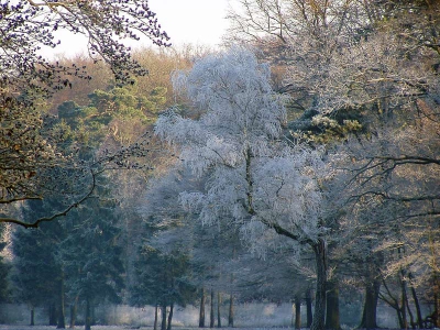 <i class='fa fa-user'></i> Rene Adelerhof | Park het Loo  <i class='fa fa-eye'> 479</i>  <i class='fa fa-thumbs-up'> 1</i>   <i class='fa fa-comment-o'> 4</i>