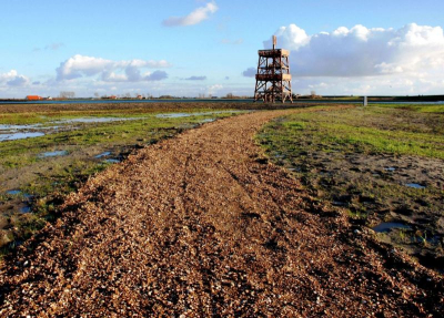 In het zgn. "plan Tureluur" is afgelopen herfst deze uitzichttoren gebouwd. Vanaf deze toren heb je een fantastisch uitzicht over dit natuurgebied, de inlagen en de Oosterschelde. Plan Tureluur is bijzonder in trek bij vogelliefhebbers. Het is een bezoek dan ook mr dan waard.
Zie:
http://www.schouwen-duiveland.nl/content.jsp?objectid=10416