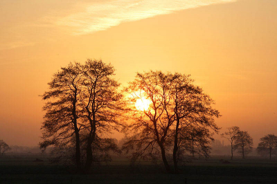 Gisterochtend een rondje gemaakt op de grens tussen Friesland en Groningen. Ik vond dit wel een lekker sfeertje. De opkomende zon tussen de elzen

Gr

Hillebrand
www.pixus.nl