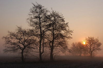 <i class='fa fa-user'></i> Johan van Gurp | Zonsopkomst in de Terheijdense polder  <i class='fa fa-eye'> 165</i>   <i class='fa fa-comment-o'> 3</i>