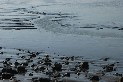 <i class='fa fa-user'></i> Tim Oord | Waddenlandschap  <i class='fa fa-eye'> 155</i>  <i class='fa fa-thumbs-up'> 1</i>   <i class='fa fa-comment-o'> 2</i>