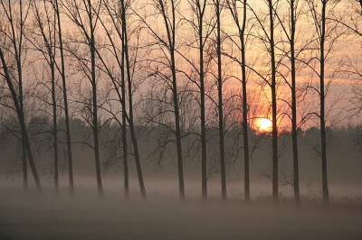 <i class='fa fa-user'></i> Gerard Schouten | Mistige Zonsondergang Broekdijk Nuenen  <i class='fa fa-eye'> 428</i>   <i class='fa fa-comment-o'> 3</i>