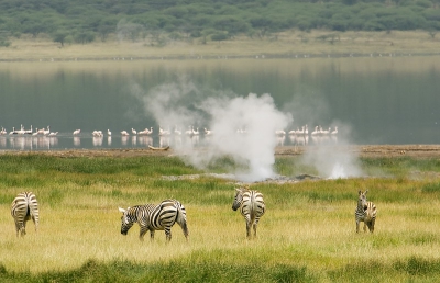 <i class='fa fa-user'></i> mark kuiper | Bogoria, Kenia  <i class='fa fa-eye'> 203</i>   <i class='fa fa-comment-o'> 1</i>