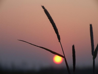 <i class='fa fa-user'></i> Tjeerd visser | Avond licht  <i class='fa fa-eye'> 68</i>   <i class='fa fa-comment-o'> 1</i>