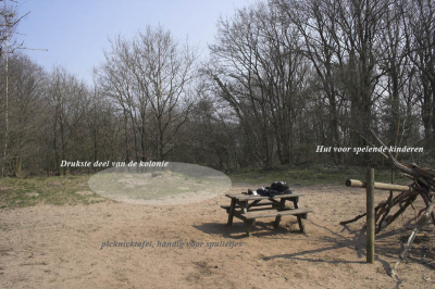 Hier dan mijn bijenkolonie. Je ziet, een stukje zonniger dan dat van Els. Helaas ook een stuk minder rustig. De picknicktafel heeft natuurlijk een grote aantrekkingskracht, en veel kinderen hebben hun "geheime" hut onder die takkenstapel.
Niet op de foto: twee hele mooie klimbomen....
De kolinie zit eigenlijk overal langs die kant van de open plek, maar het gearceerde deel is het drukst.