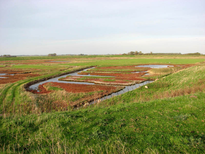 <i class='fa fa-user'></i> Tolka | Inlaag bij de Plompetoren in Zeeland  <i class='fa fa-eye'> 161</i>   <i class='fa fa-comment-o'> 2</i>