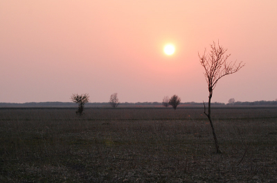 Zondersondergang in de OVP aan de kant van de Zeearend zo rond 20 uur, uitzicht over de "savanne"...