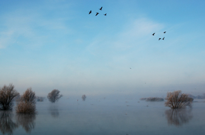 Optrekkende nevel boven de IJssel.