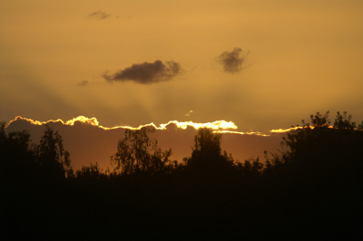 Prachtige zonsondergang boven de oostvaardersplassen.
De gouden rand van de zon verlicht de wolken.