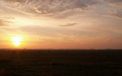 Deze foto is genomen tussen Hoogkerk en peizermade daar had je een mooi uitzicht op de zonsopgang.

f11
s1/100
iso 200