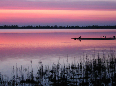Zonsondergang in de Oostvaardersplassen door het kijkscherm bij het bezoekerscentrum. Het eilandje rechtsvoor ligt voor vogelkijkhut de Kluut. Prachtig mooi.