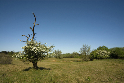 <i class='fa fa-user'></i> Wiel Arets | Zicht op de duinen  <i class='fa fa-eye'> 156</i>   <i class='fa fa-comment-o'> 3</i>