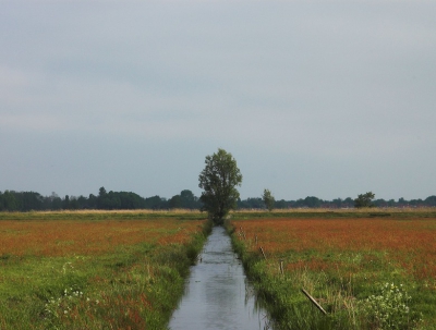 <i class='fa fa-user'></i> Tim Oord | Landschap  <i class='fa fa-eye'> 141</i>   <i class='fa fa-comment-o'> 3</i>