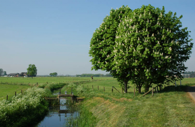 De kleine beek bij Steenderen