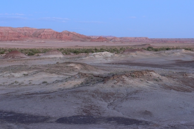 <i class='fa fa-user'></i> Hendrik van Kampen | Painted Desert  <i class='fa fa-eye'> 233</i>  <i class='fa fa-thumbs-up'> 3</i>   <i class='fa fa-comment-o'> 11</i>