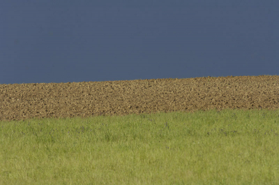 Nikon D2X; AF-S VR 200-400/4.0 met 1.4 TC