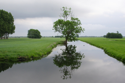 <i class='fa fa-user'></i> pepijn | Polder Hoenkoop  <i class='fa fa-eye'> 199</i>   <i class='fa fa-comment-o'> 13</i>