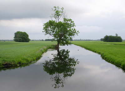 uitsnede zonder bomen groep...