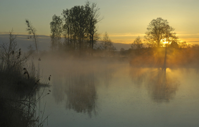 <i class='fa fa-user'></i> Manus | Vroege ochtend aan de Notec-rivier in NW-Polen  <i class='fa fa-eye'> 335</i>  <i class='fa fa-thumbs-up'> 9</i>   <i class='fa fa-comment-o'> 8</i>