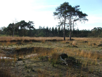 Een mooie herfstdag vandaag. Een beetje dingen uitproberen met mijn camera