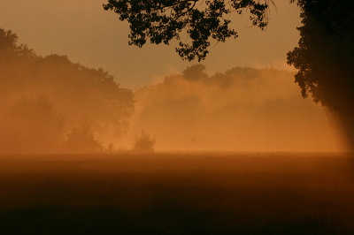 <i class='fa fa-user'></i> Art | Zonsondergang in Twente  <i class='fa fa-eye'> 303</i>   <i class='fa fa-comment-o'> 12</i>