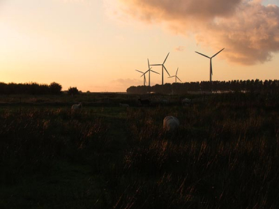 Foto genomen op n van onze struintochten door de polder, op zoek naar vogels.
