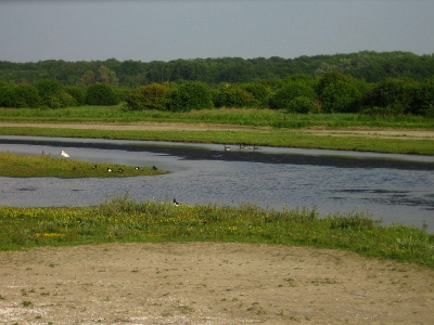 <i class='fa fa-user'></i> lboel | Oostvoornse duinen  <i class='fa fa-eye'> 140</i>   <i class='fa fa-comment-o'> 0</i>