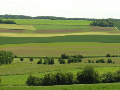 Zuid-Limburgse lappendeken op een zonnige dag in mei.
Vanaf de Heugdenweg die over een heuvelrug loopt kijkend over het dal in zuid-oostelijke richting.