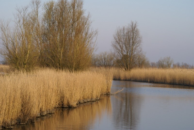 was heel vroeg in de morgen zou die dag ook erg lekker weer worden het was wind stil en lekker rustig vond dat deze foto dat ook wel uitstraalt