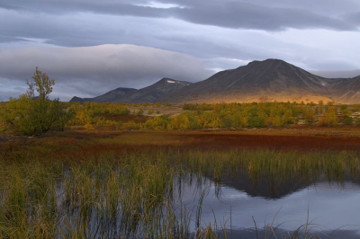 <i class='fa fa-user'></i>&nbsp;jan broekhuizen&nbsp;| Zonsopkomst&nbsp; <i class='fa fa-eye'>&nbsp;214</i> &nbsp; <i class='fa fa-comment-o'>&nbsp;2</i>