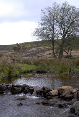 <i class='fa fa-user'></i> Marcel van Kammen | Beekje North York Moors  <i class='fa fa-eye'> 150</i>   <i class='fa fa-comment-o'> 1</i>