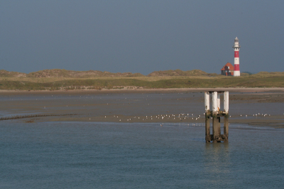 <i class='fa fa-user'></i>&nbsp;Rudi Debruyne&nbsp;| Landschap IJzermonding Vlaanderen&nbsp; <i class='fa fa-eye'>&nbsp;223</i> &nbsp; <i class='fa fa-comment-o'>&nbsp;3</i>