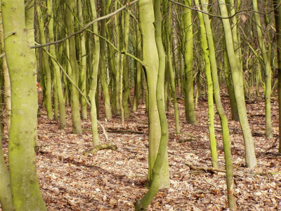 <i class='fa fa-user'></i>&nbsp;Anneke&nbsp;| Stammetjes&nbsp; <i class='fa fa-eye'>&nbsp;166</i> &nbsp; <i class='fa fa-comment-o'>&nbsp;1</i>