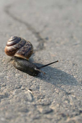 Alle tijd op positie te bepalen en scherp te stellen