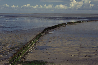 <i class='fa fa-user'></i> jan broekhuizen | waddengebied  <i class='fa fa-eye'> 205</i>   <i class='fa fa-comment-o'> 5</i>